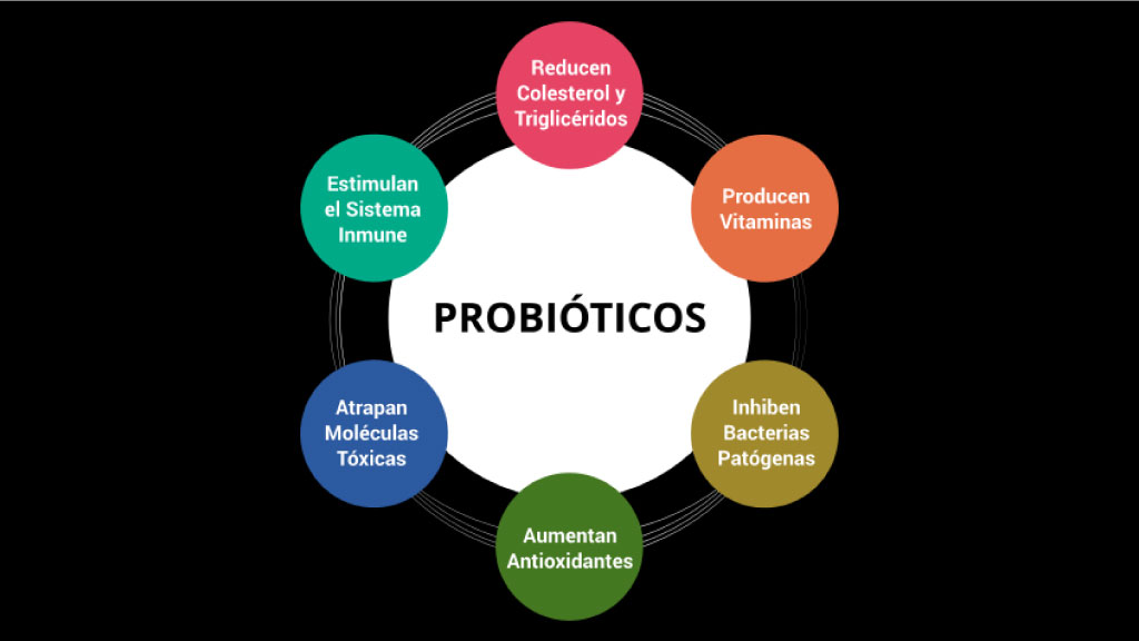 Guía de suplementos para mejorar la energía: Probióticos